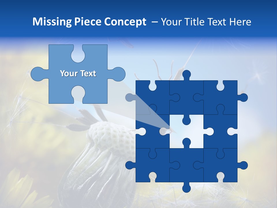 Antrey Summer Flower PowerPoint Template