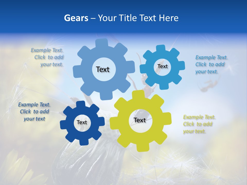 Antrey Summer Flower PowerPoint Template