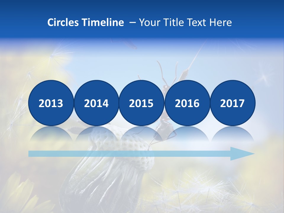 Antrey Summer Flower PowerPoint Template