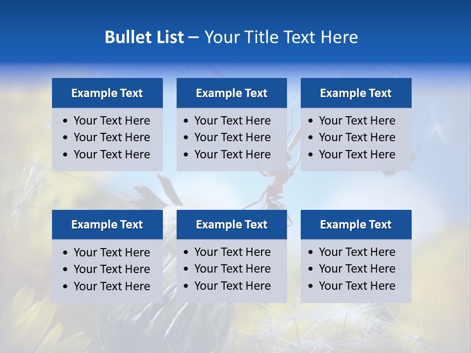 Antrey Summer Flower PowerPoint Template