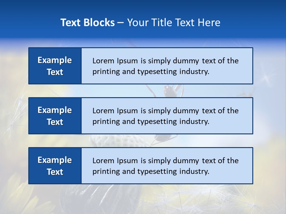 Antrey Summer Flower PowerPoint Template