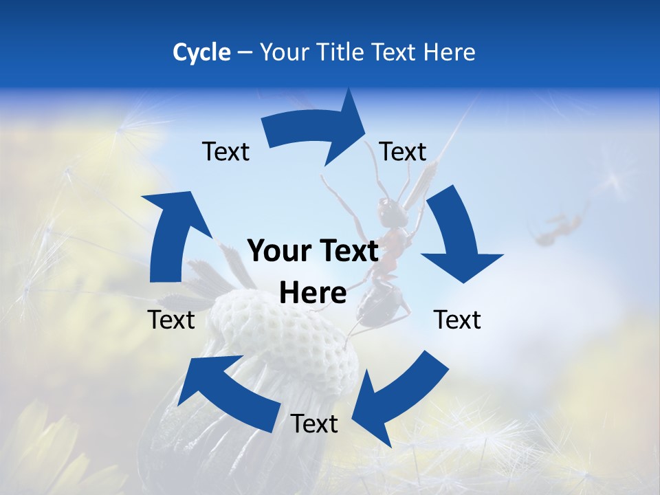 Antrey Summer Flower PowerPoint Template