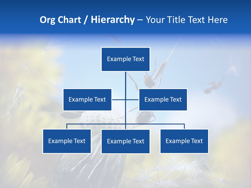 Antrey Summer Flower PowerPoint Template