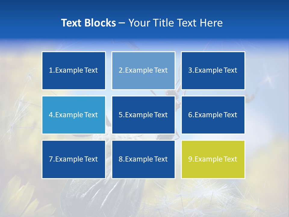 Antrey Summer Flower PowerPoint Template