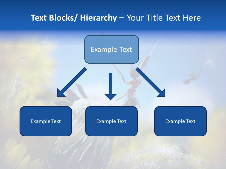 Antrey Summer Flower PowerPoint Template