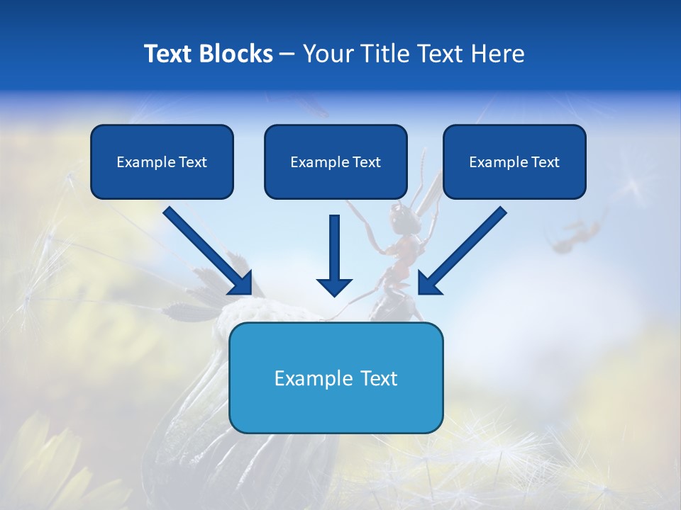 Antrey Summer Flower PowerPoint Template