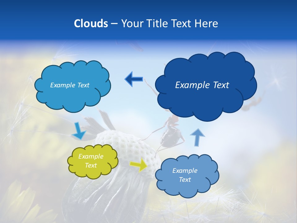 Antrey Summer Flower PowerPoint Template
