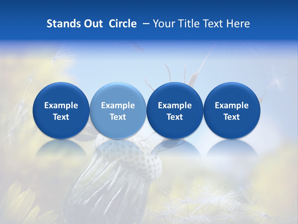 Antrey Summer Flower PowerPoint Template