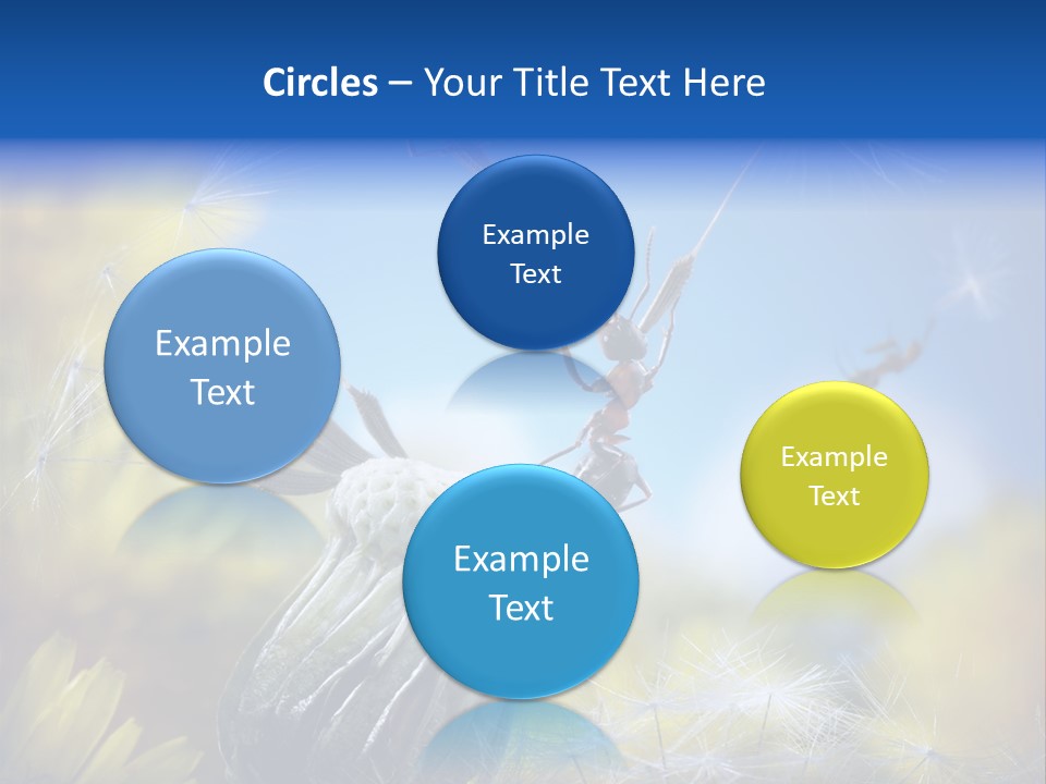 Antrey Summer Flower PowerPoint Template