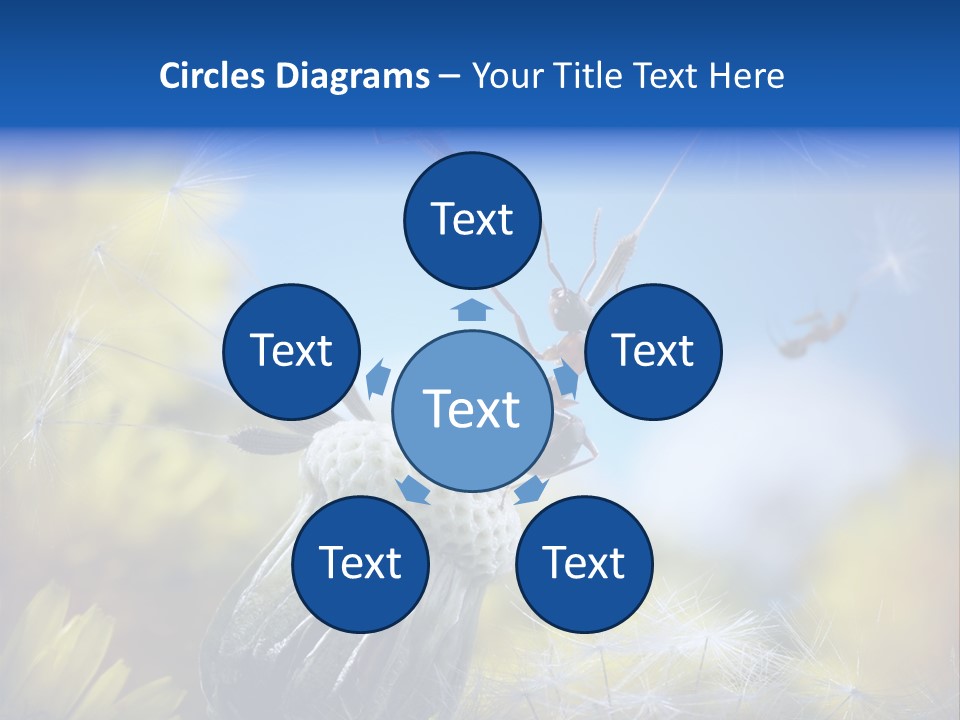 Antrey Summer Flower PowerPoint Template