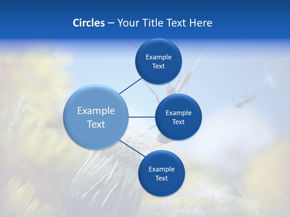 Antrey Summer Flower PowerPoint Template