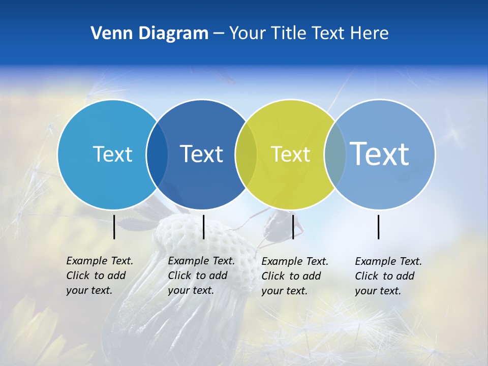 Antrey Summer Flower PowerPoint Template