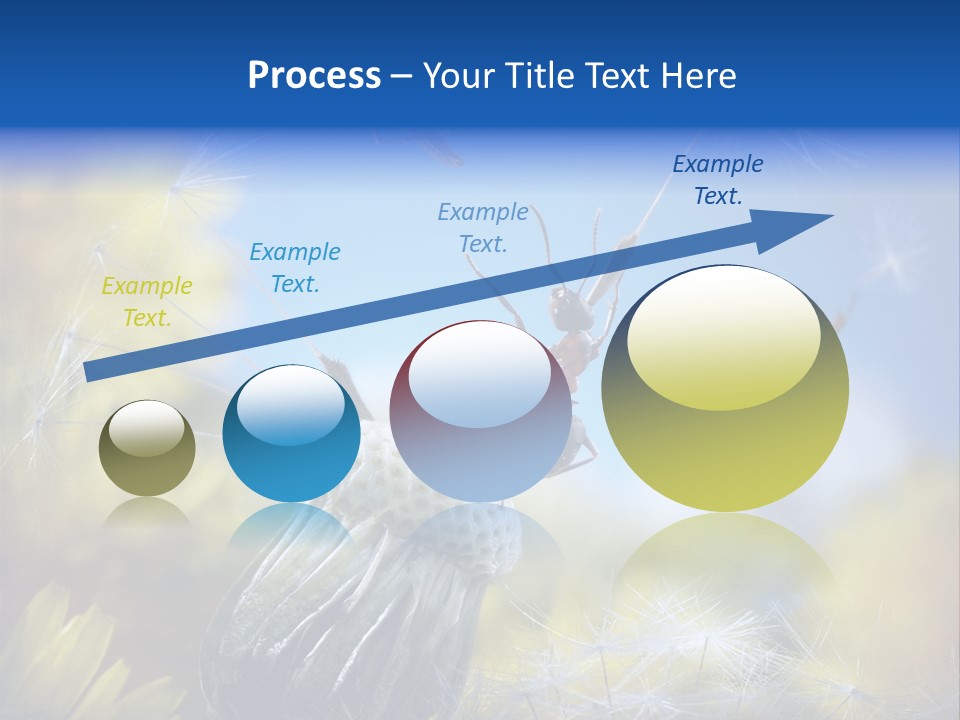 Antrey Summer Flower PowerPoint Template