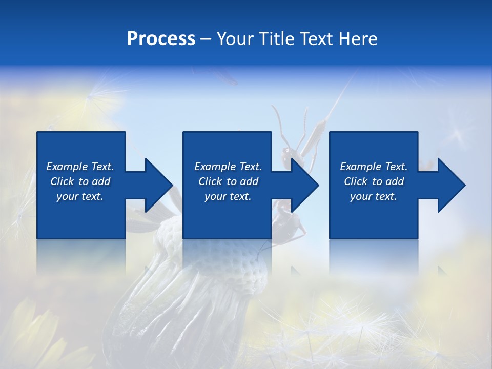 Antrey Summer Flower PowerPoint Template