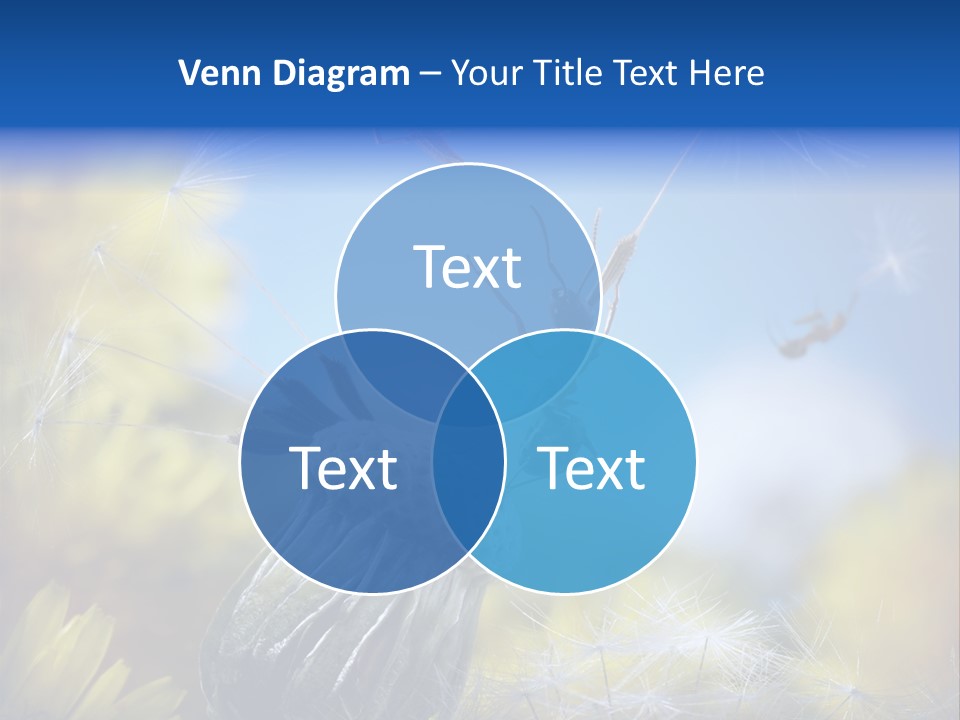 Antrey Summer Flower PowerPoint Template