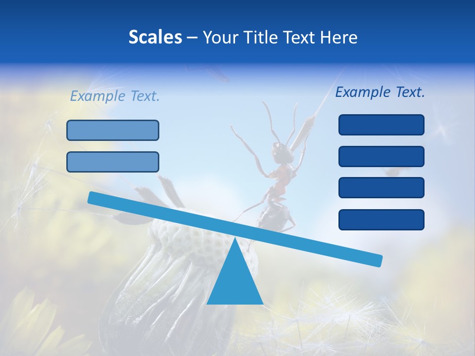 Antrey Summer Flower PowerPoint Template