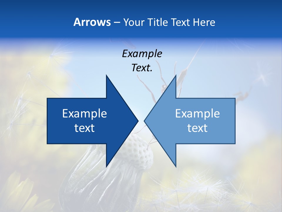 Antrey Summer Flower PowerPoint Template