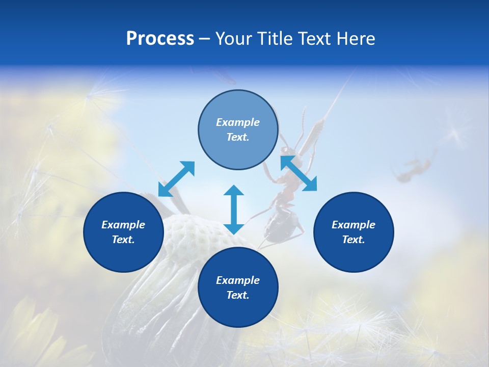 Antrey Summer Flower PowerPoint Template