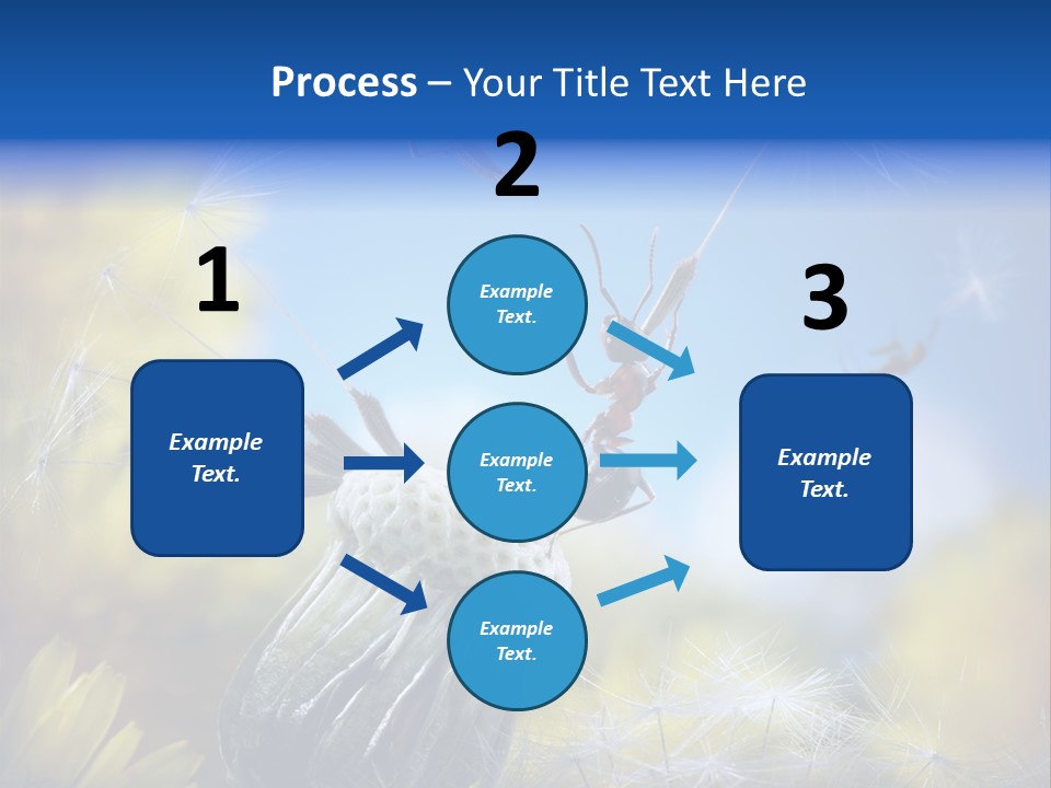 Antrey Summer Flower PowerPoint Template