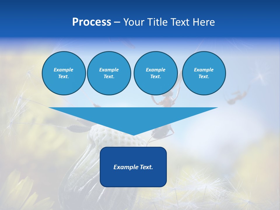Antrey Summer Flower PowerPoint Template