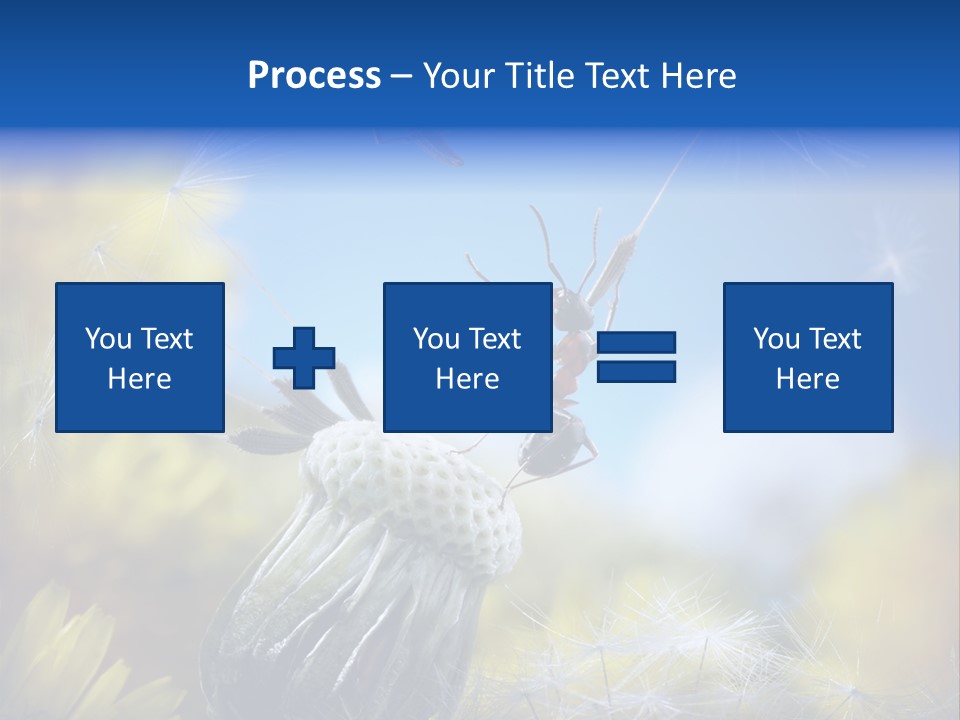 Antrey Summer Flower PowerPoint Template
