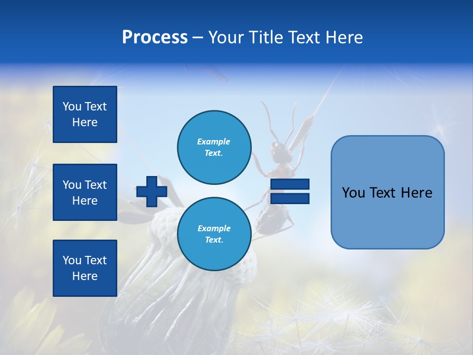 Antrey Summer Flower PowerPoint Template