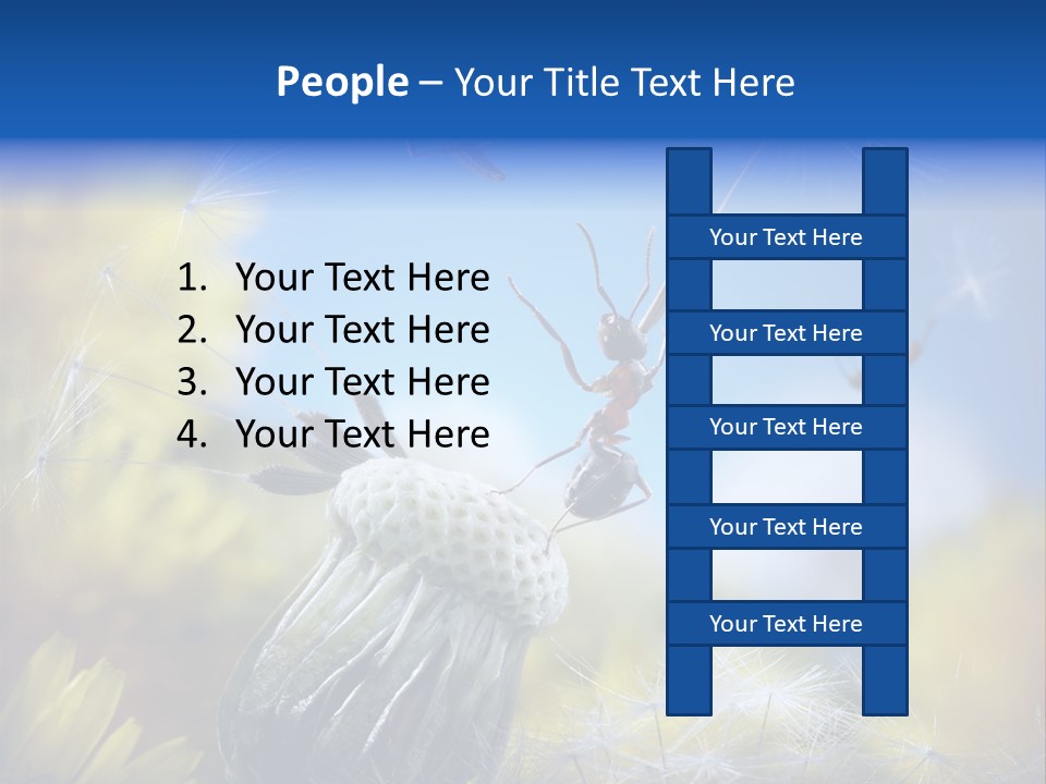 Antrey Summer Flower PowerPoint Template