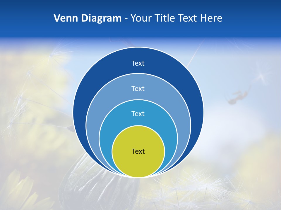 Antrey Summer Flower PowerPoint Template