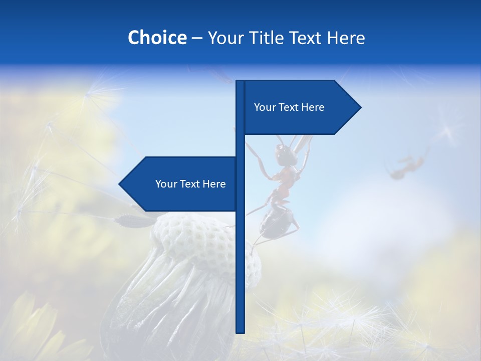 Antrey Summer Flower PowerPoint Template