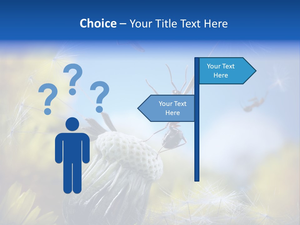 Antrey Summer Flower PowerPoint Template