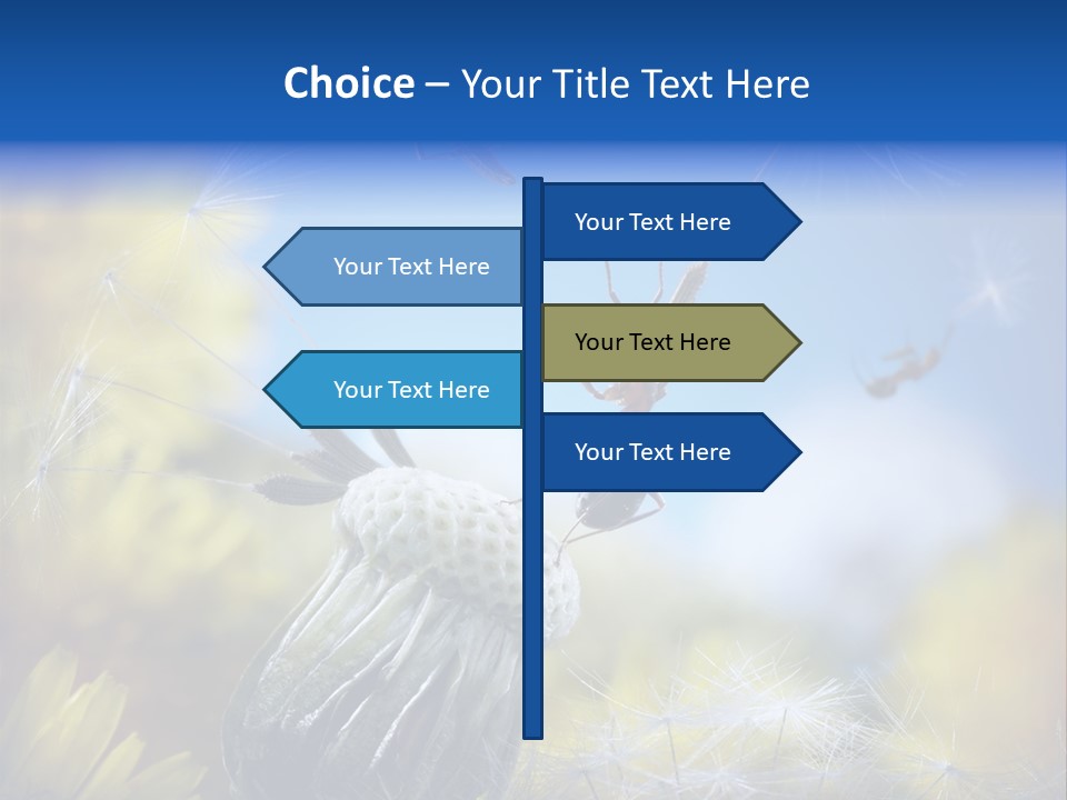 Antrey Summer Flower PowerPoint Template