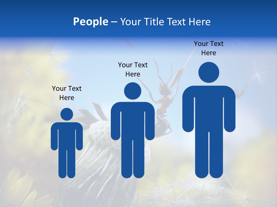 Antrey Summer Flower PowerPoint Template