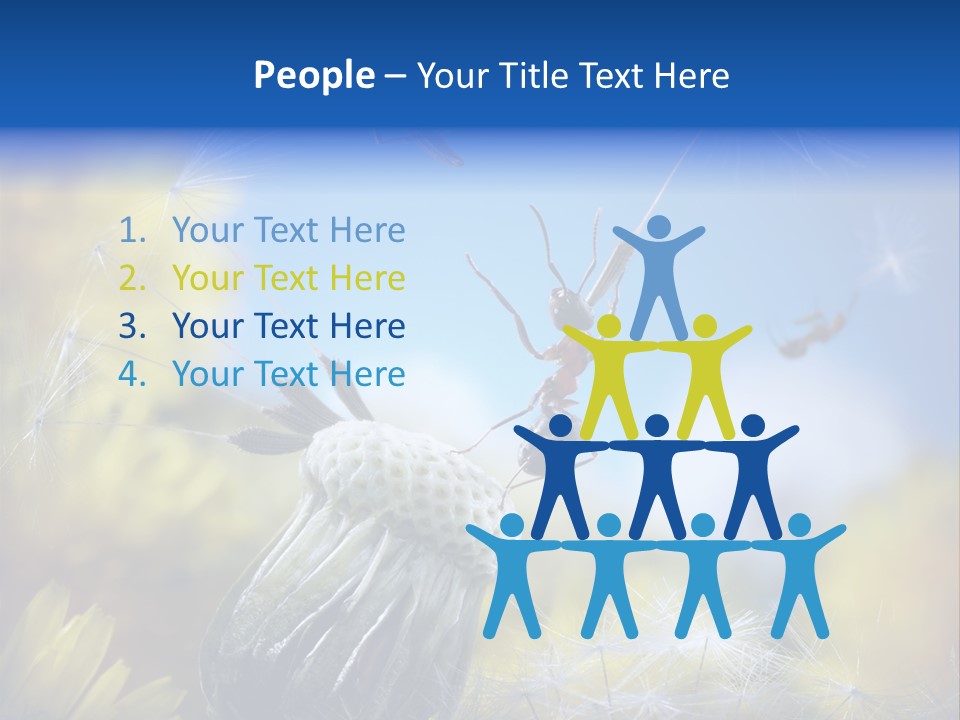 Antrey Summer Flower PowerPoint Template