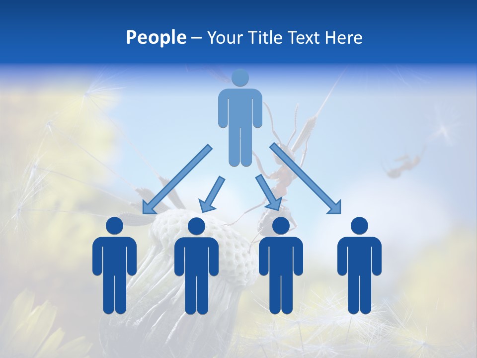 Antrey Summer Flower PowerPoint Template