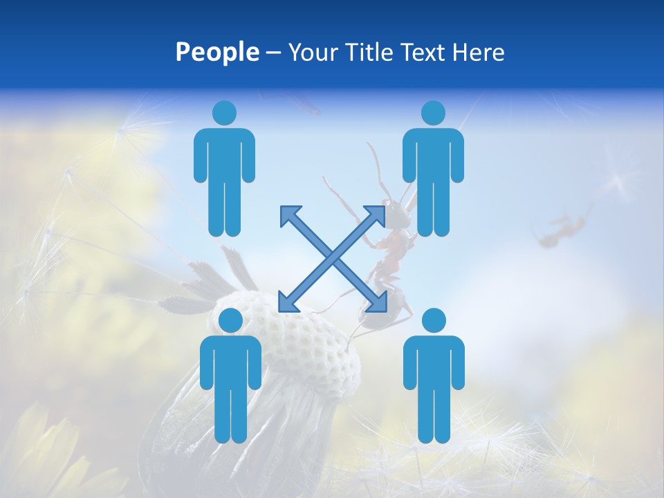 Antrey Summer Flower PowerPoint Template