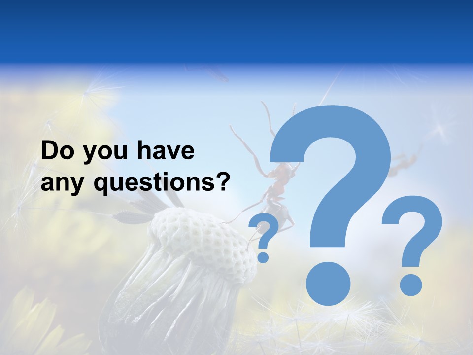 Antrey Summer Flower PowerPoint Template