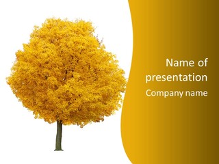 October Plant Woods PowerPoint Template