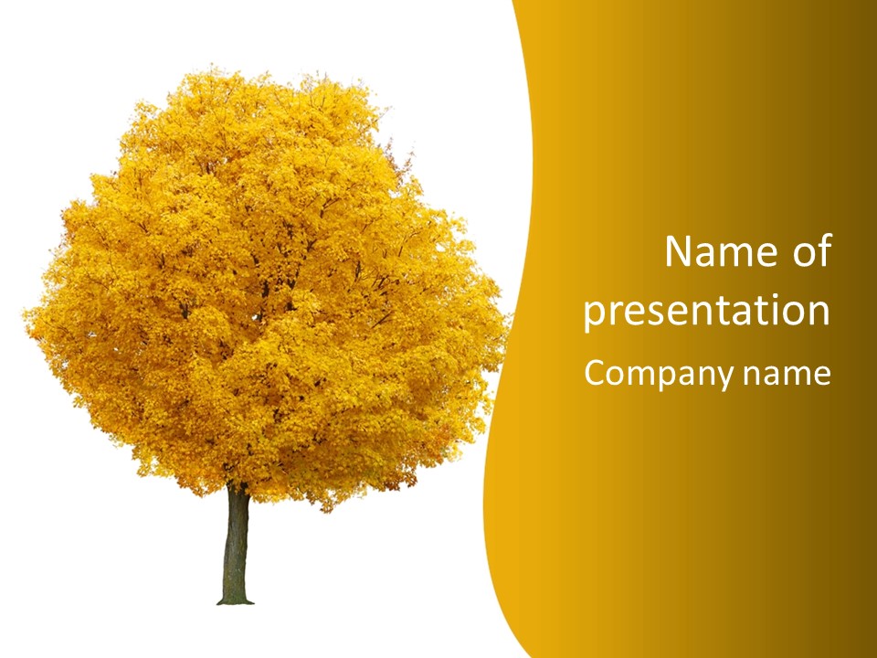 October Plant Woods PowerPoint Template