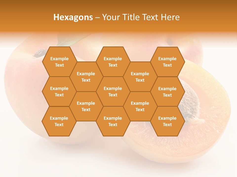 Summer Single Organic PowerPoint Template