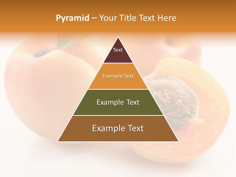 Summer Single Organic PowerPoint Template