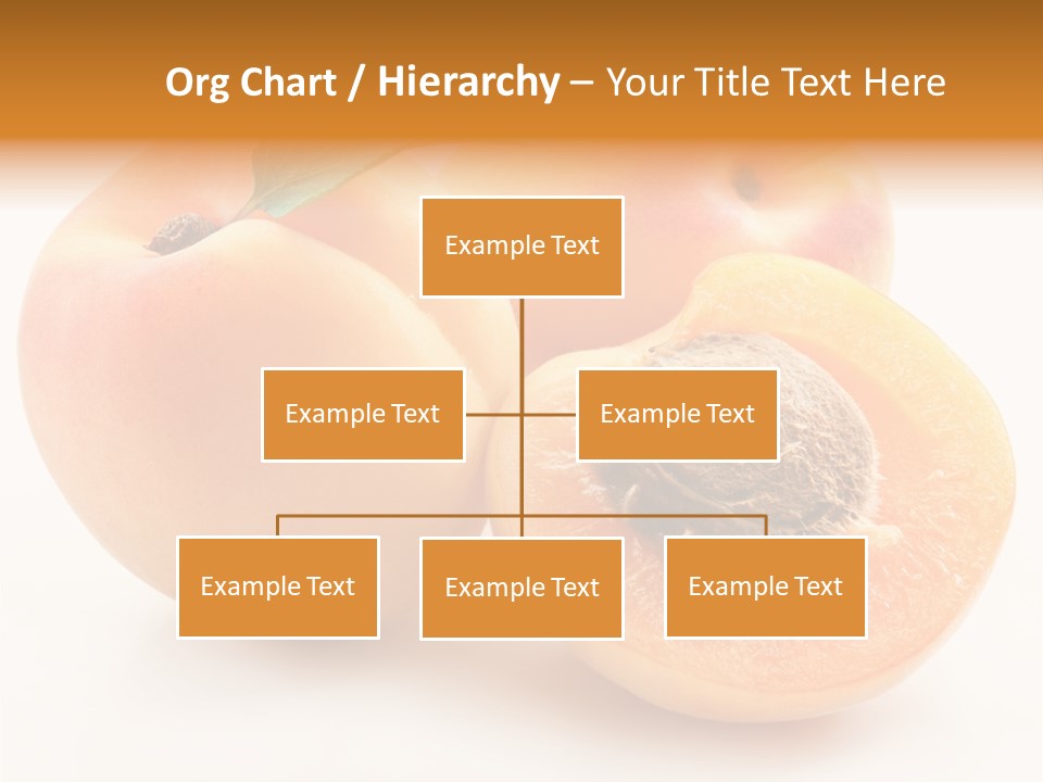 Summer Single Organic PowerPoint Template