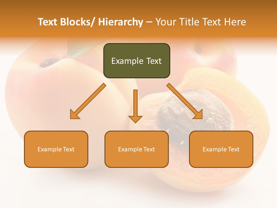 Summer Single Organic PowerPoint Template