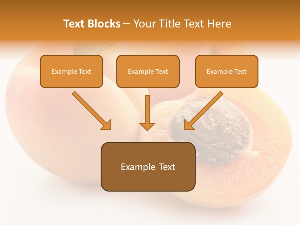 Summer Single Organic PowerPoint Template