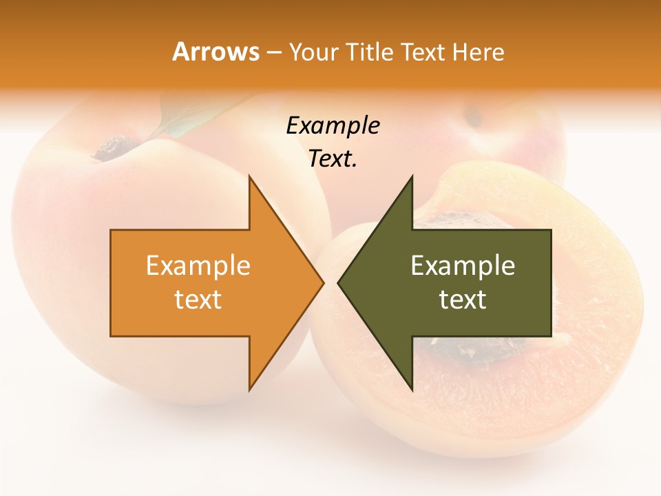 Summer Single Organic PowerPoint Template