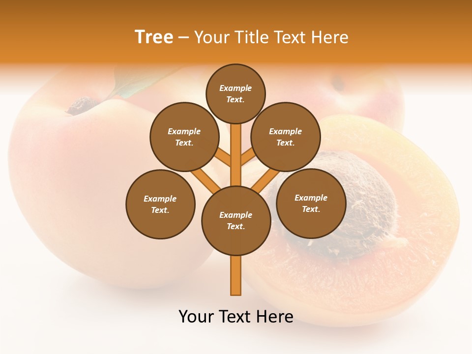 Summer Single Organic PowerPoint Template