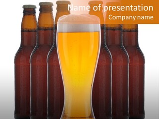 Beer Glass Foam Cold PowerPoint Template