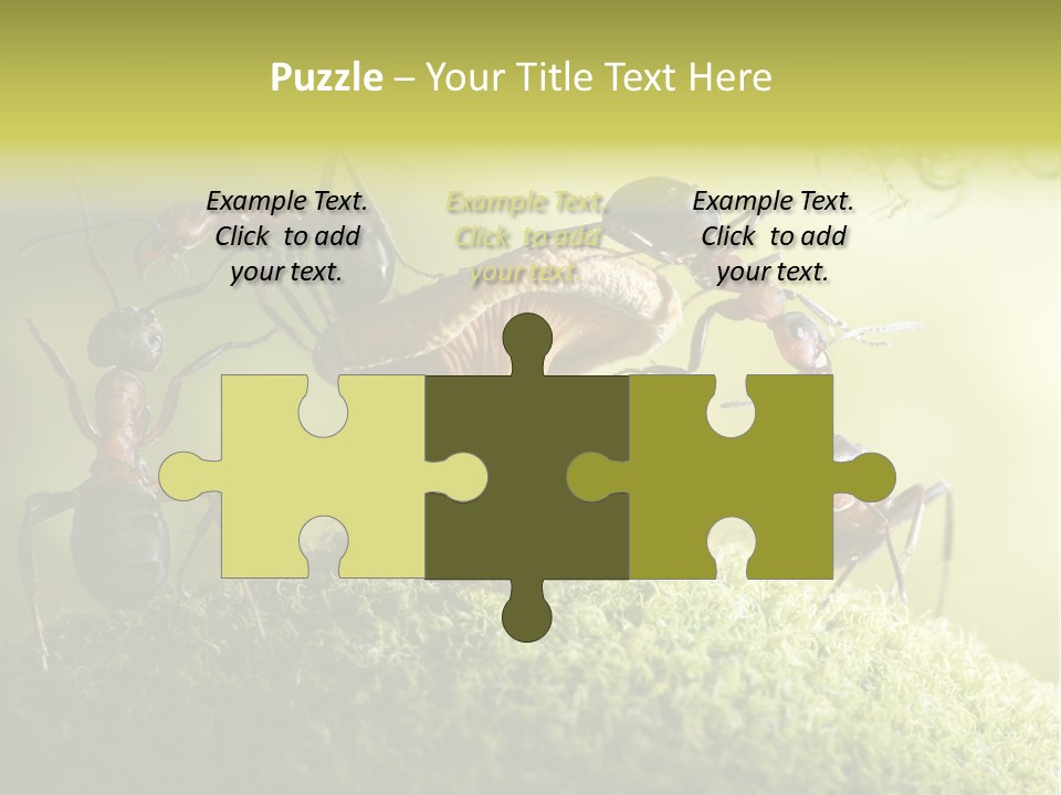 Tale Morning Scary PowerPoint Template