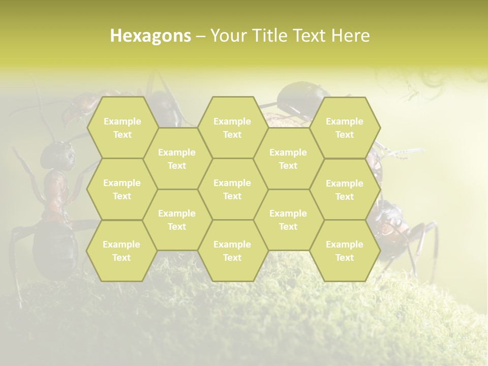 Tale Morning Scary PowerPoint Template