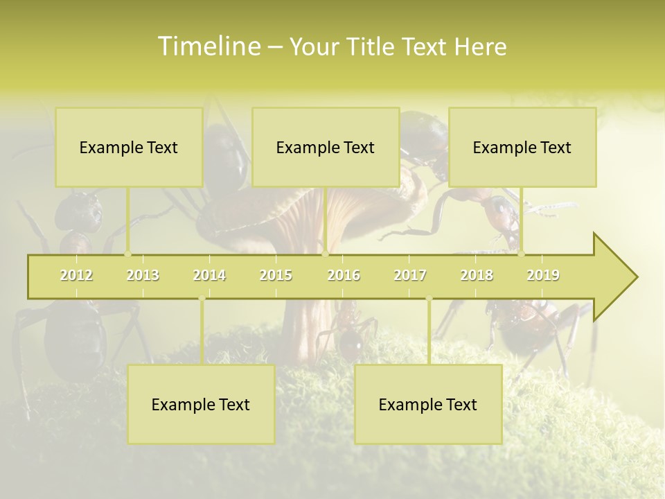 Tale Morning Scary PowerPoint Template
