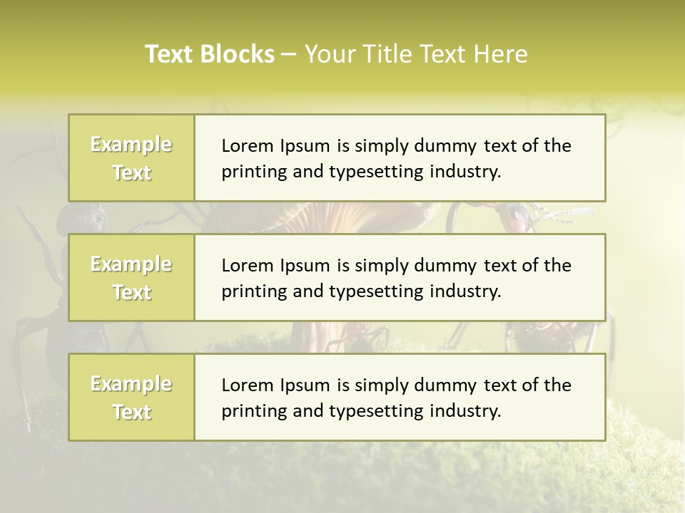 Tale Morning Scary PowerPoint Template